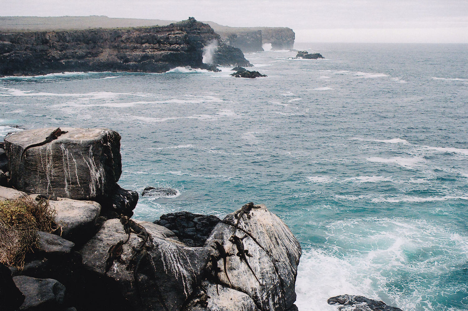 PlaceholderImage1302